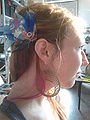 Thumbnail for version as of 22:24, 13 May 2025